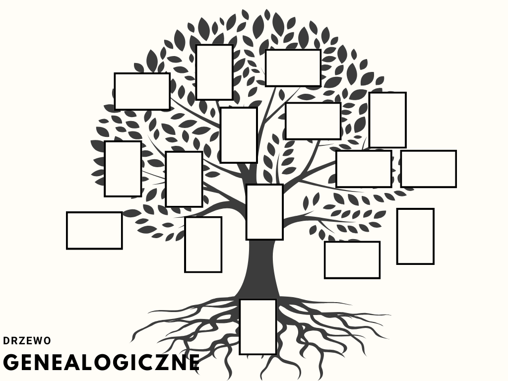 wzór jak zrobić drzewo genealogiczne do szkoły (5)