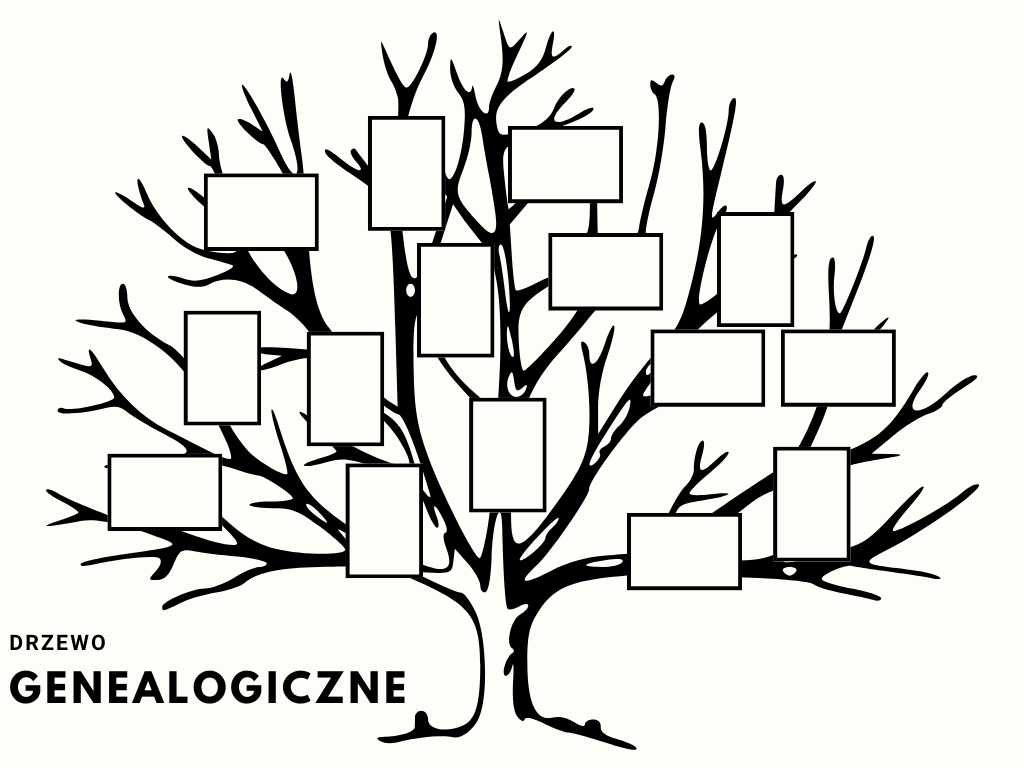 wzór jak zrobić drzewo genealogiczne do szkoły (6)