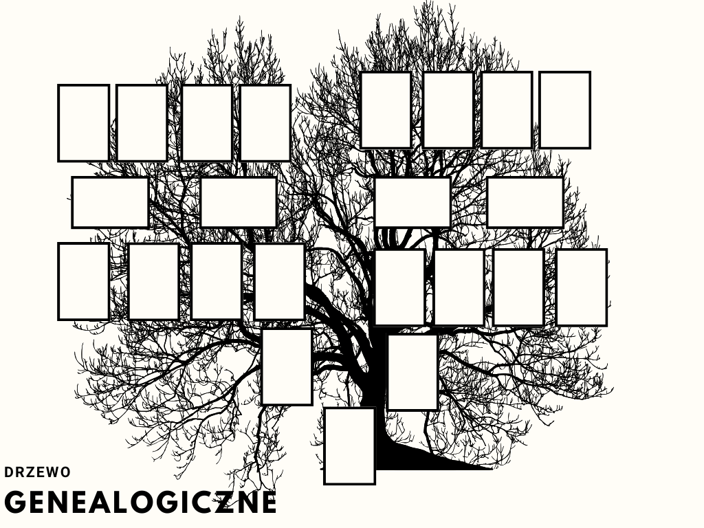  wzór jak zrobić drzewo genealogiczne do szkoły